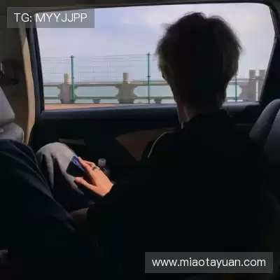 成菲笛
